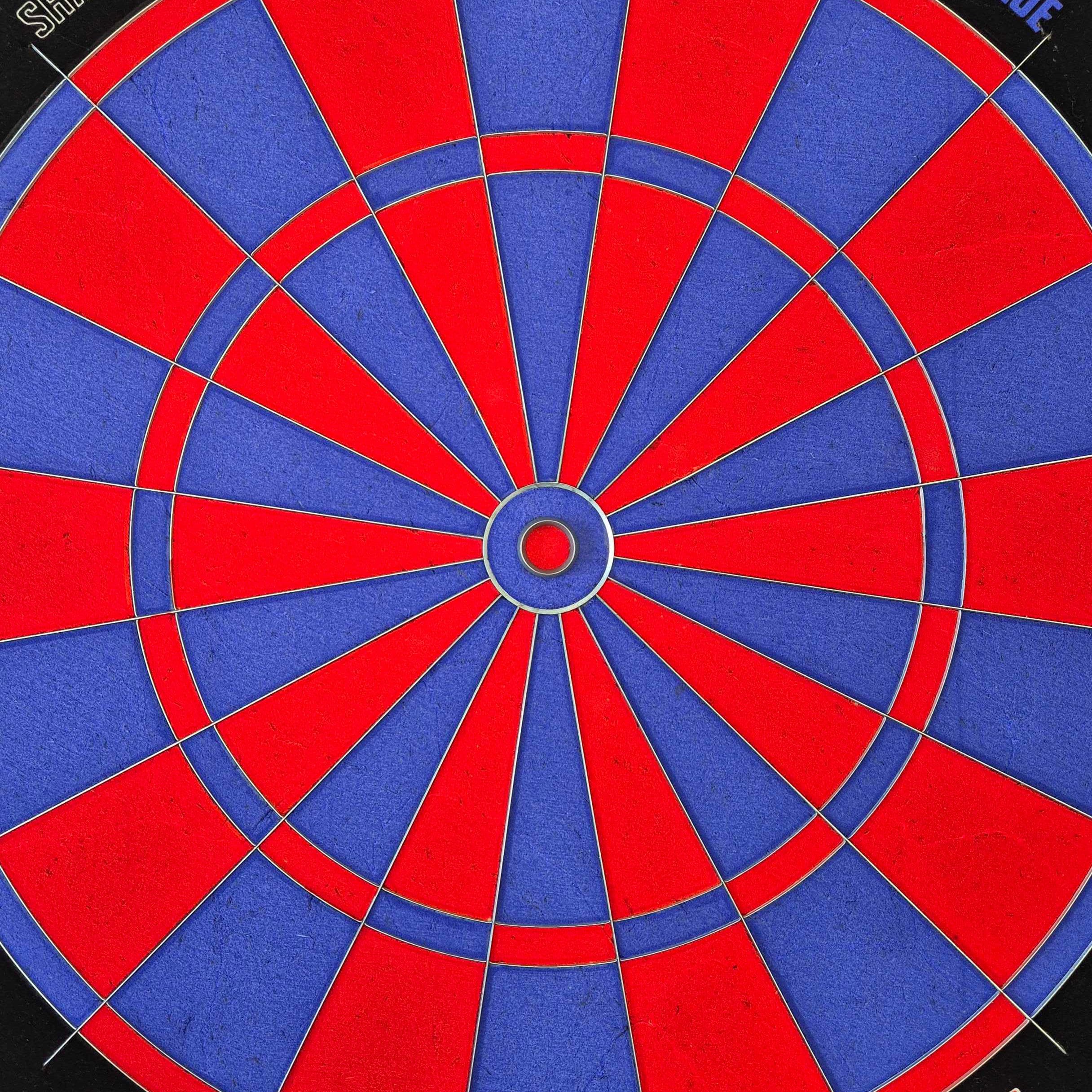 Bulls NL Shark Blue Pro steel dartboard Bulls NL Shark Blue Pro steel dartboard