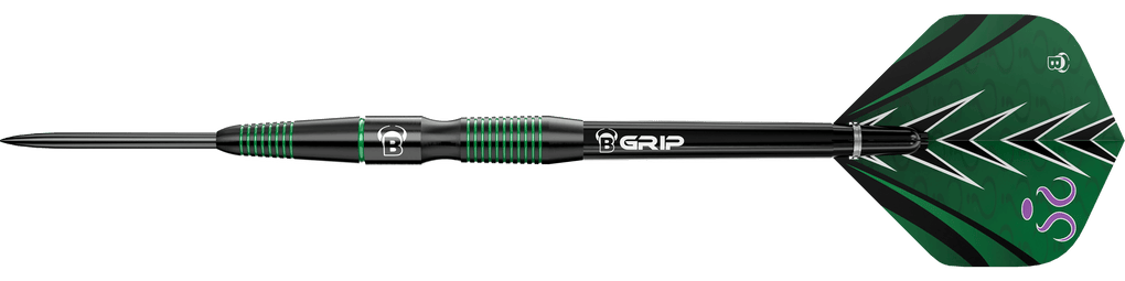 Bulls Brian Raman G2 steel darts