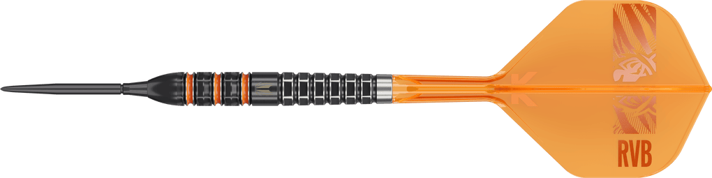 Target Raymond Van Barneveld 95K Swiss Points Steel Darts