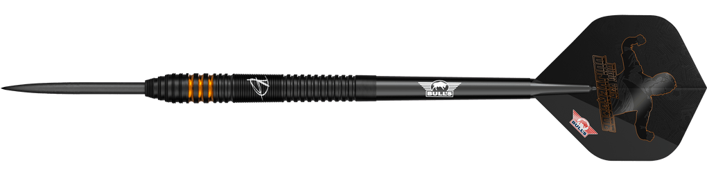 Bulls NL Dirk Van Duijvenbode Edition 2 steel darts