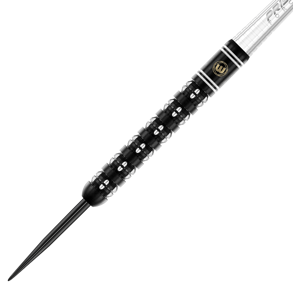 Winmau Danny Noppert Freeze Edition Steeldarts