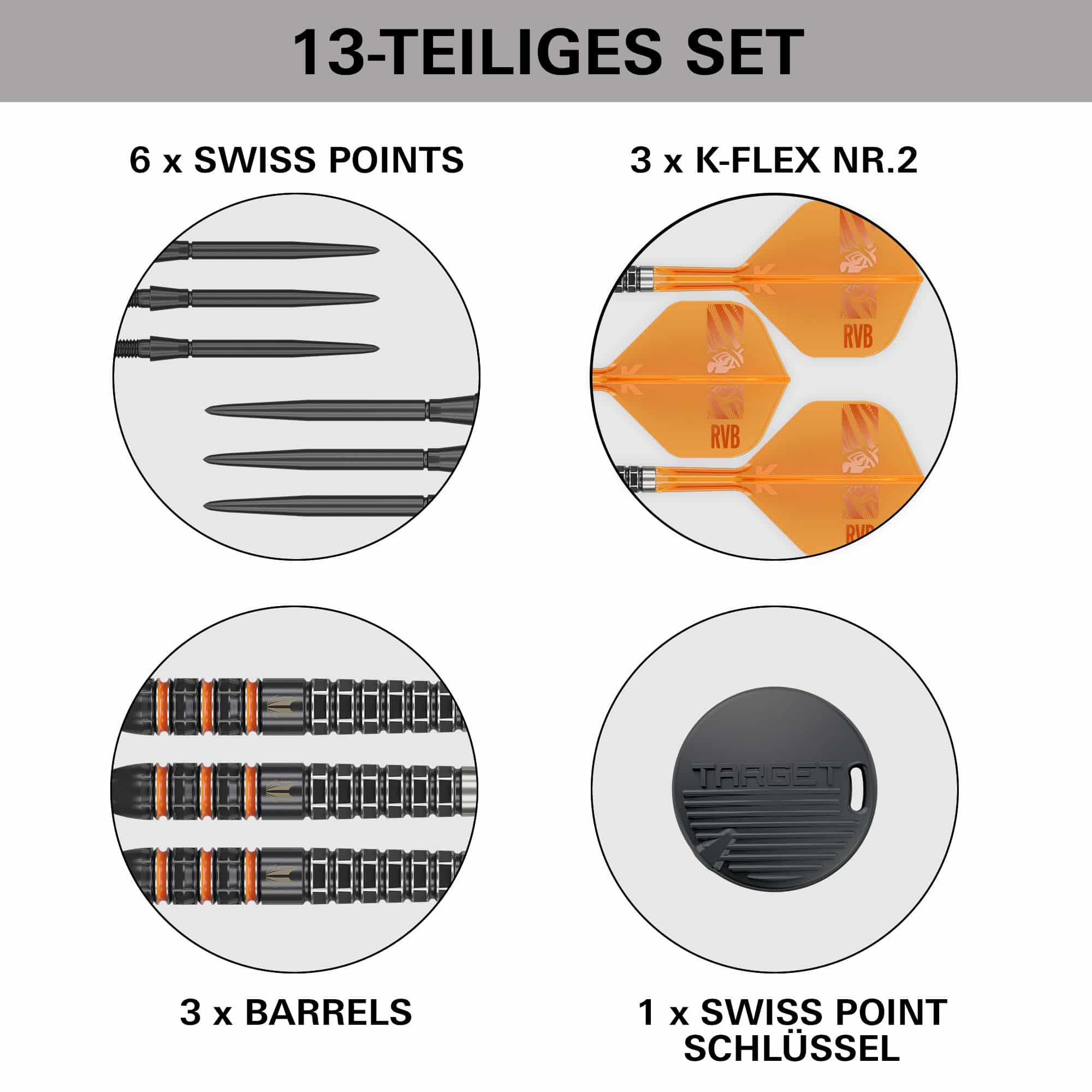 Target Raymond Van Barneveld 95K Swiss Points Steel Darts