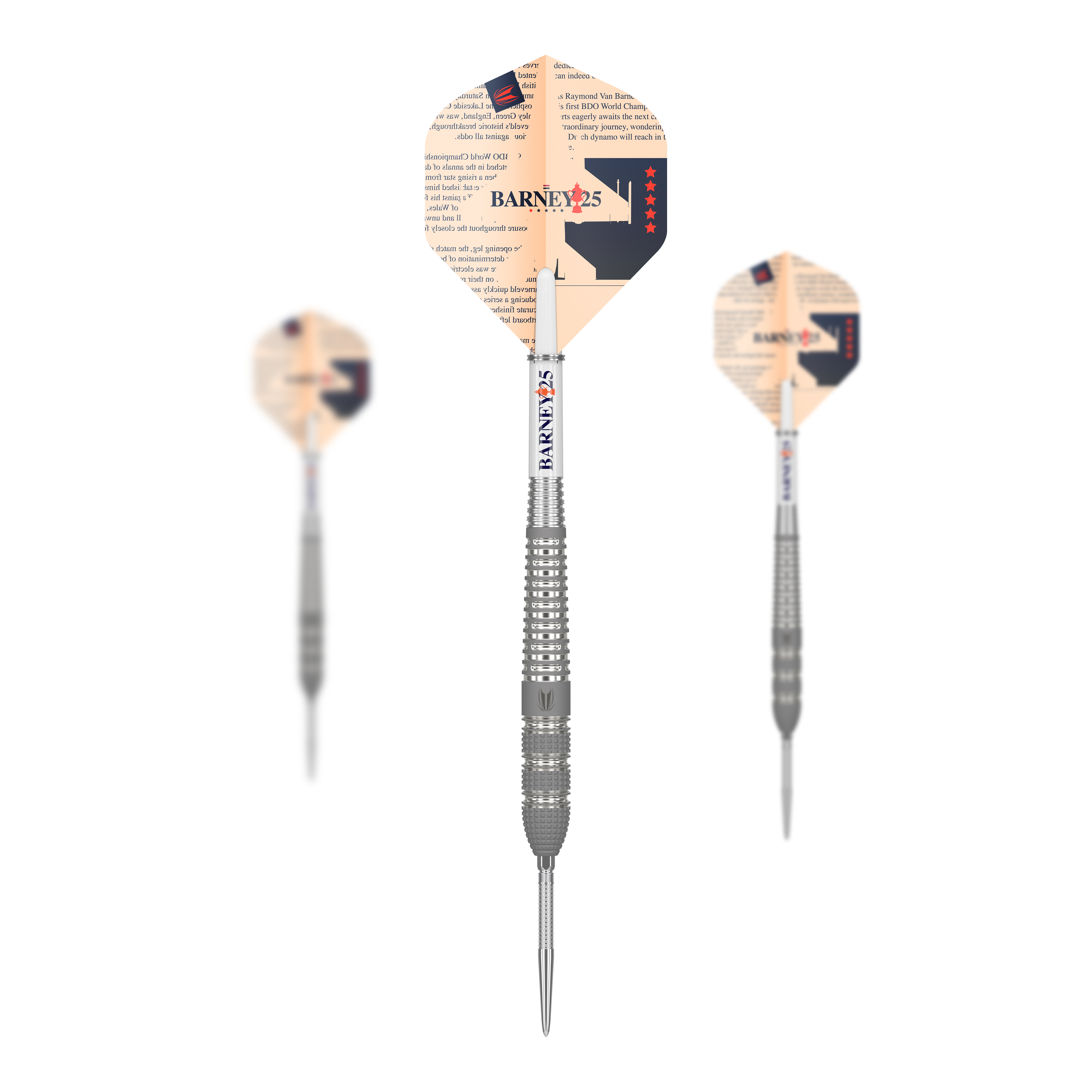 Target Raymond Van Barneveld Barney25 Swiss Point Steel Darts