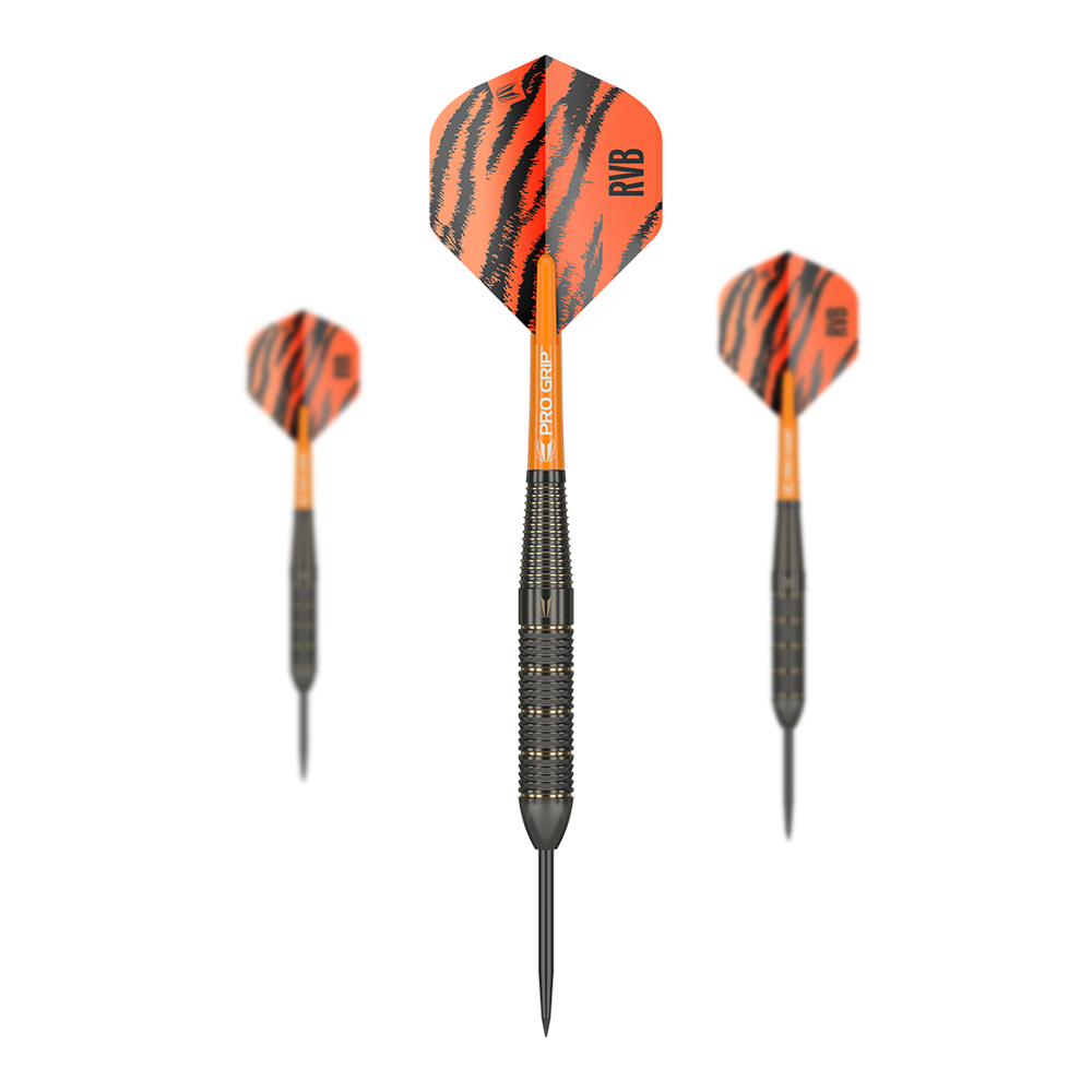 Target Raymond Van Barneveld Brass Steel darts - 22g