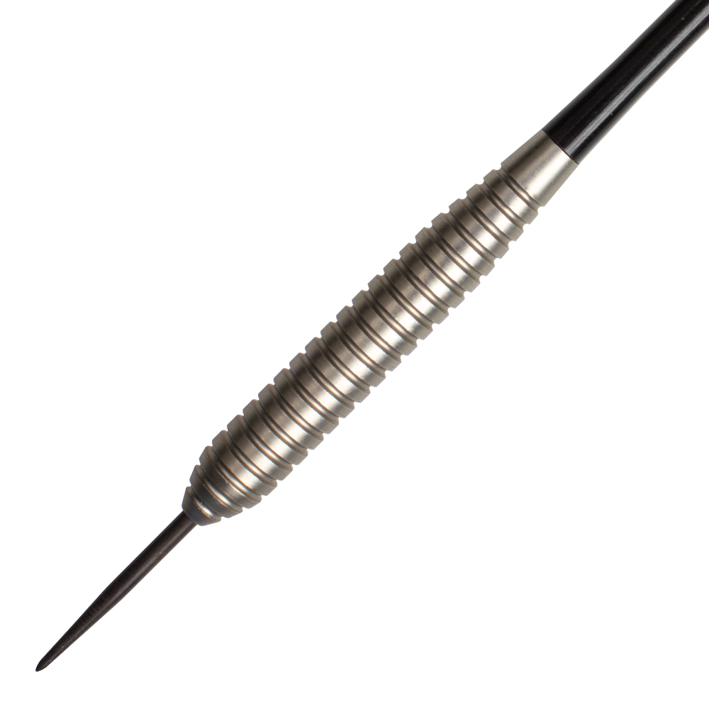 Target Phil Taylor Power Silverlight Variante 2 Steeldarts