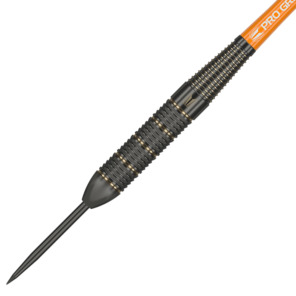 Target Raymond Van Barneveld Brass Steel darts - 22g