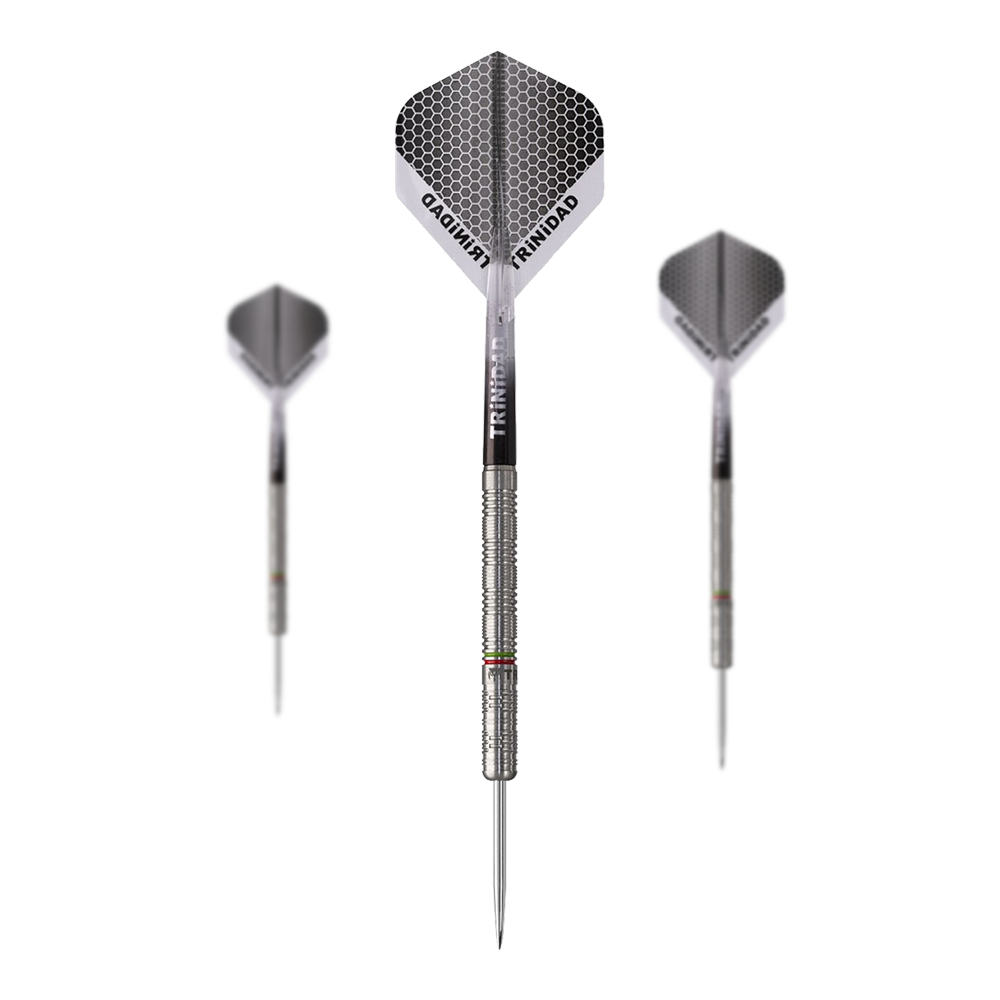 Trinidad Jose De Sousa Type 3 Steel Darts - 22g