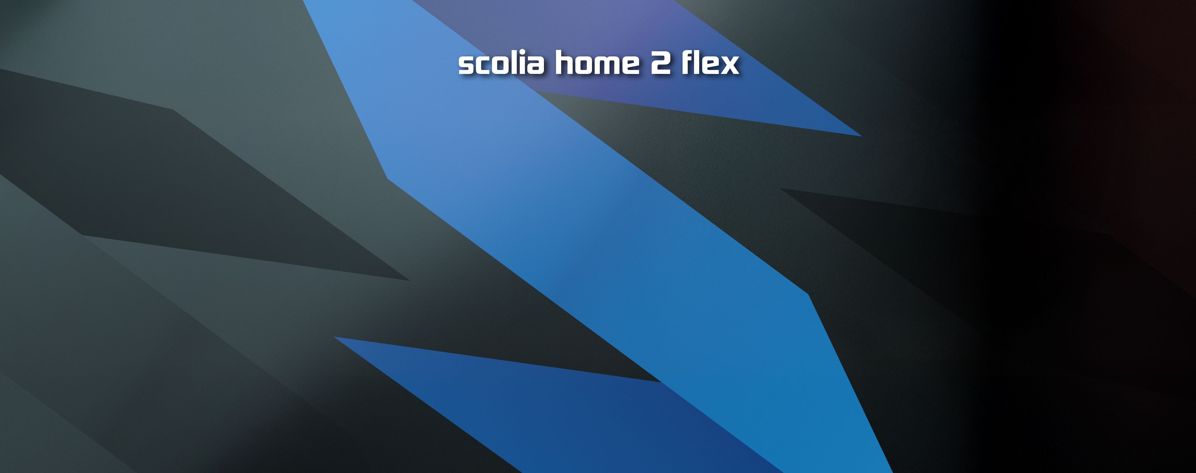 Scolia Home 2 FLEX - Electronic Autoscoring System with Lighting Ring 2026