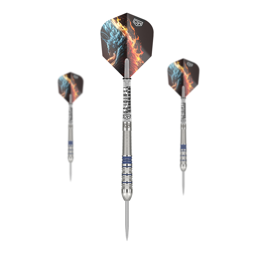 DW Phoenix steel darts