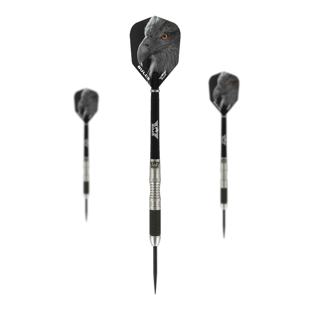 Bulls NL Eagle 2 darts