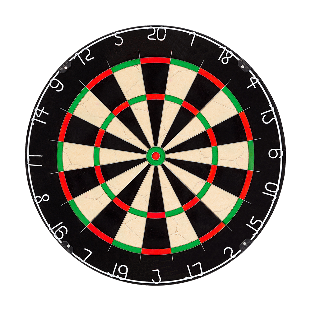 NPQ Steeldartboard