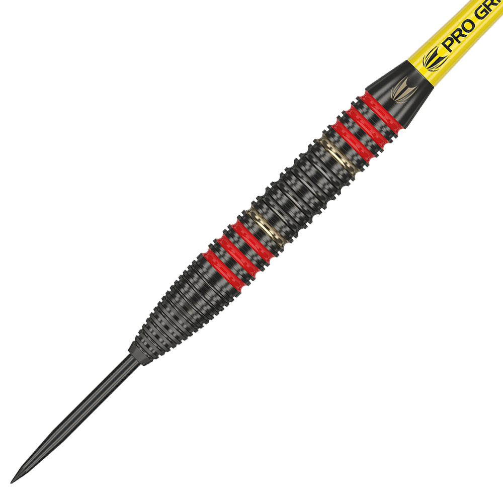 Target Dimitri Van Den Bergh Brass Steeldarts - 22g