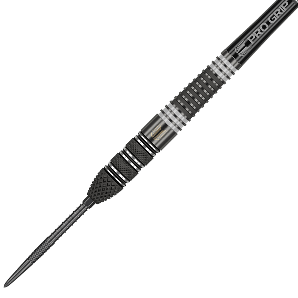 Target Raymond Van Barneveld RvB95 X Echo Swiss Point Steeldarts