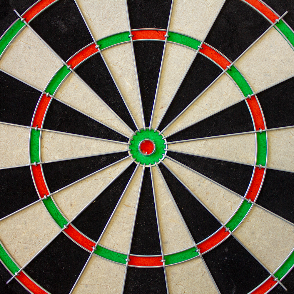 Winmau Pro SFB Dartboard