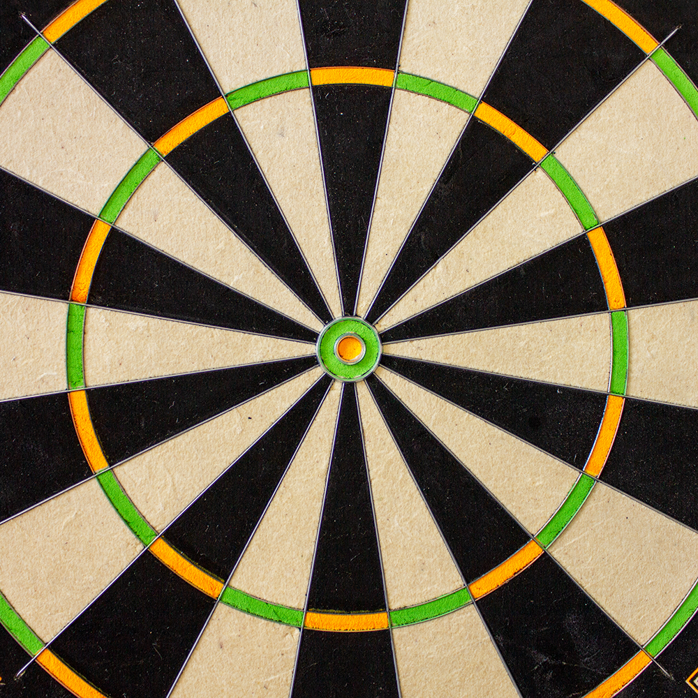 Winmau Champions Choice Dual Core Dartboard