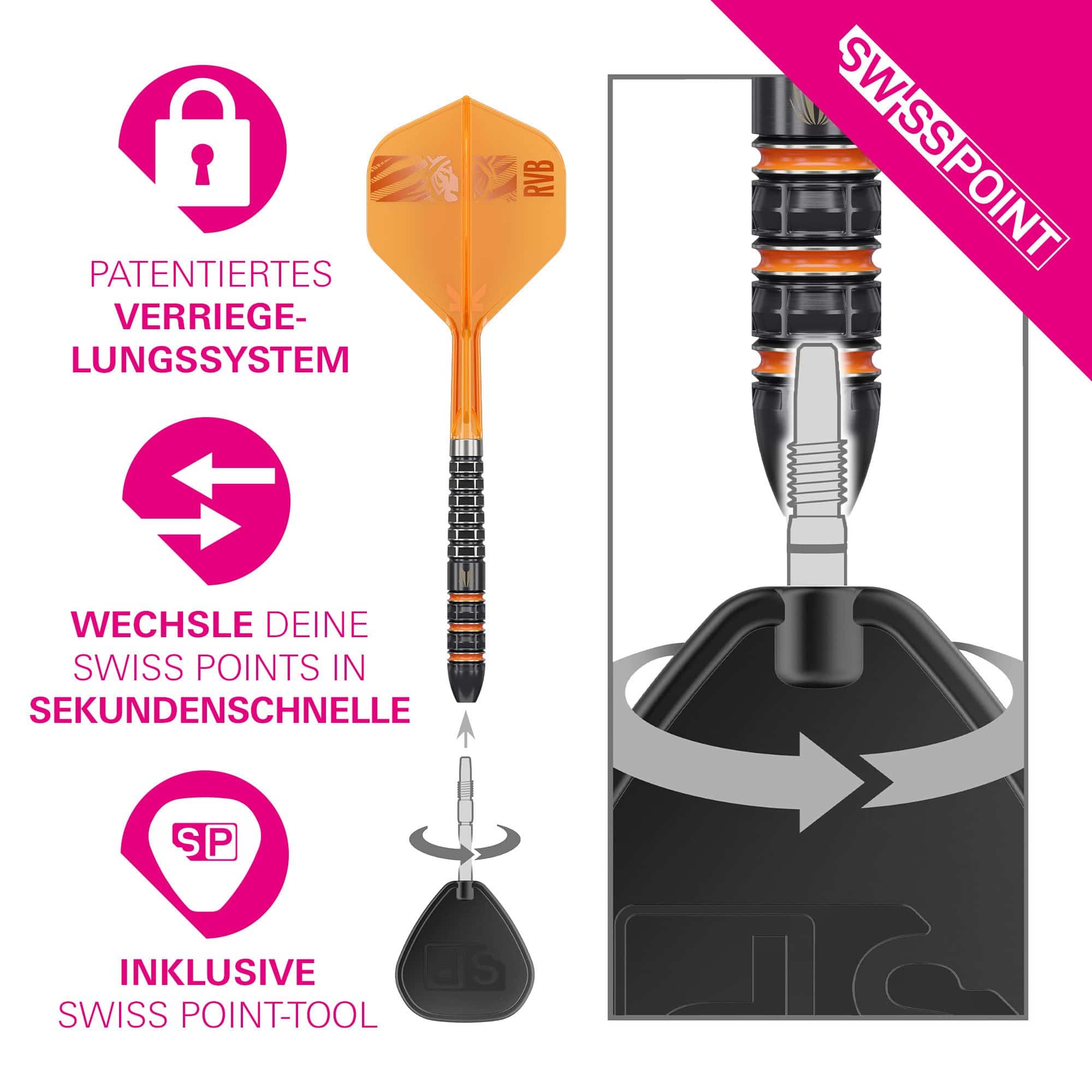 Target Raymond Van Barneveld 95K Swiss Points Steel Darts