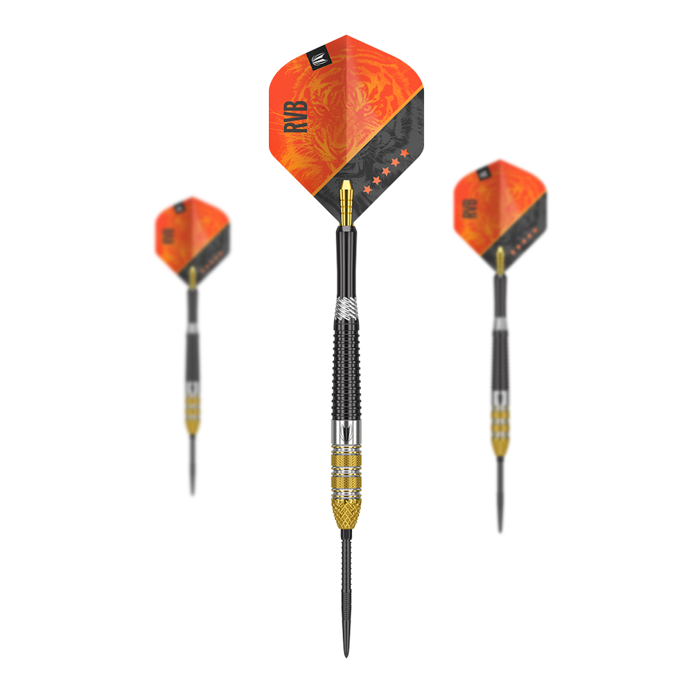 Target Raymond Van Barneveld RVB95 GEN4 Swiss Point steel darts