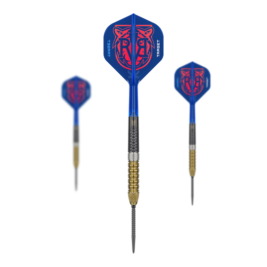 Target Raymond Van Barneveld GEN6 Swiss Point steel darts Zu sehen sind die Target Raymond Van Barneveld GEN6 Swiss Point Steeldarts. Diese Darts sind speziell für professionelle Ansprüche gefertigt.