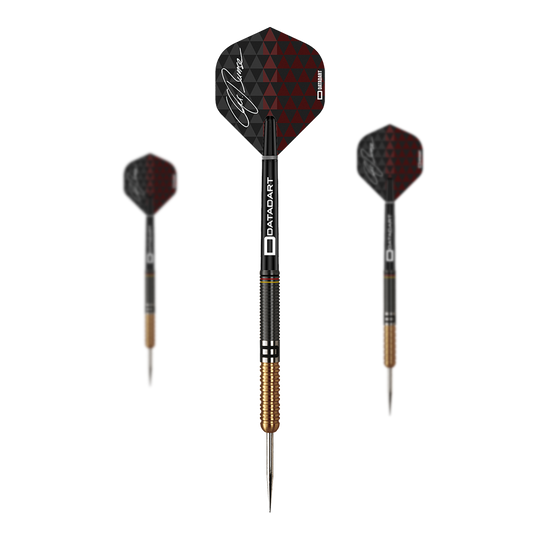 Datadart Christian Bunse Gold Black steel darts