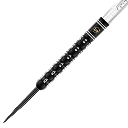 Winmau Danny Noppert Freeze Edition Steeldarts