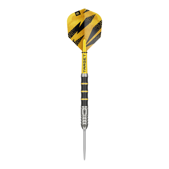 Target Buzz 02 Swiss Points steel darts Das Foto präsentiert die Target Buzz 02 Swiss Points Steeldarts. Sie bieten ein optimales Spielerlebnis.