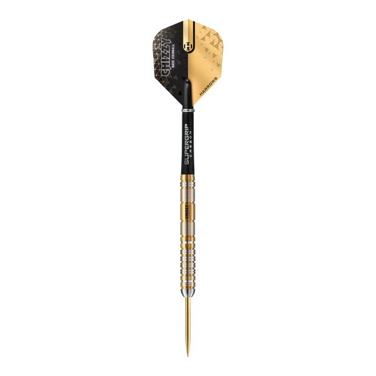 Harrow&#39;s Dave Chisnall Chizzy 2024 Series 2 steel darts