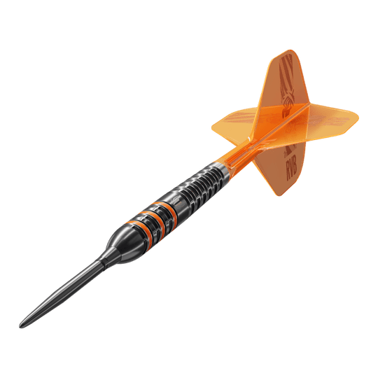 Target Raymond Van Barneveld 95K Swiss Points Steel Darts