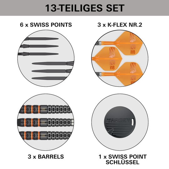 Target Raymond Van Barneveld 95K Swiss Points Steel Darts