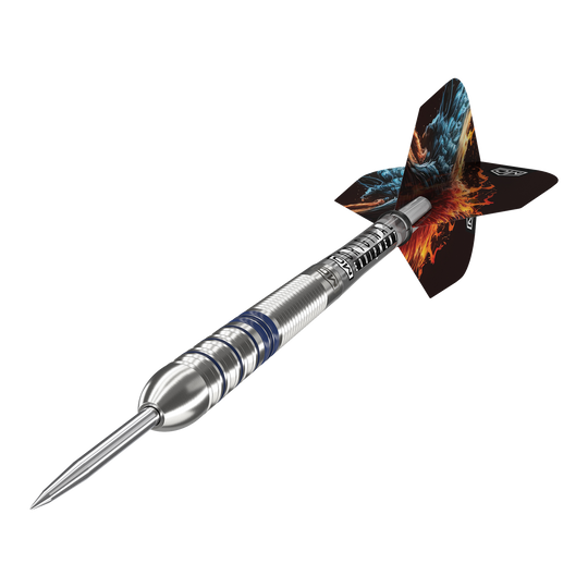 DW Phoenix steel darts