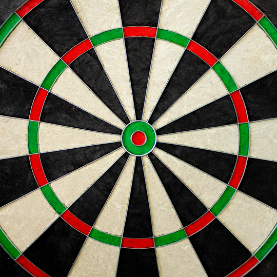 McDart Scopus Master dartboard