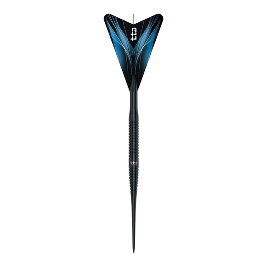 Caliburn TTD Complete Titanium T3 Black Steeldarts - 7g Die Abbildung präsentiert die Caliburn TTD Complete Titanium T3 Black Steeldarts mit einem Gewicht von 7g. Sie sind hochwertig verarbeitet und ideal für Präzisionswürfe.