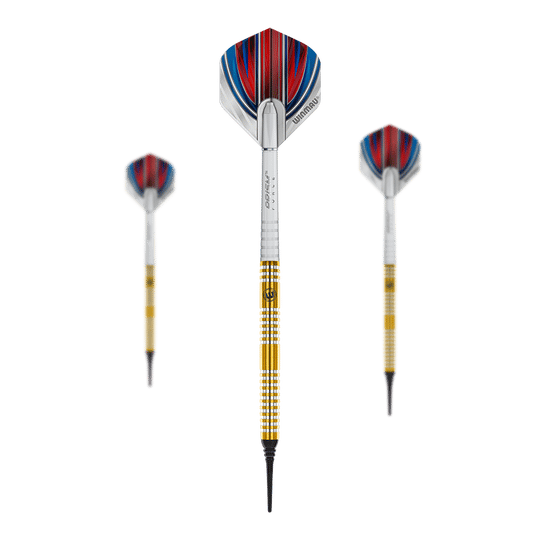 Winmau Daryl Gurney Softdarts