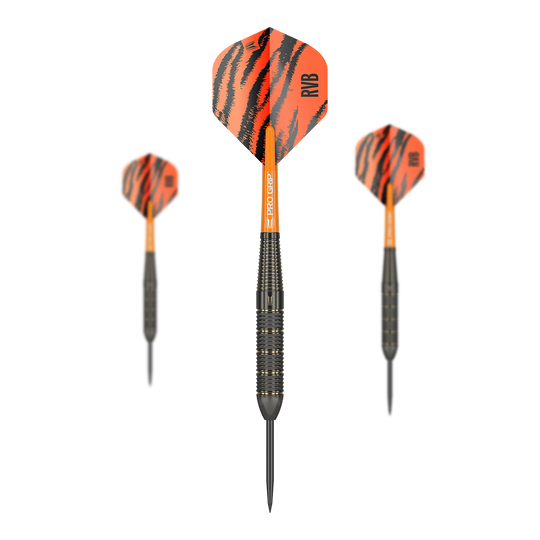 Target Raymond Van Barneveld Brass Steel darts - 22g