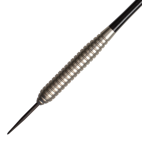 Target Phil Taylor Power Silverlight Variante 2 Steeldarts