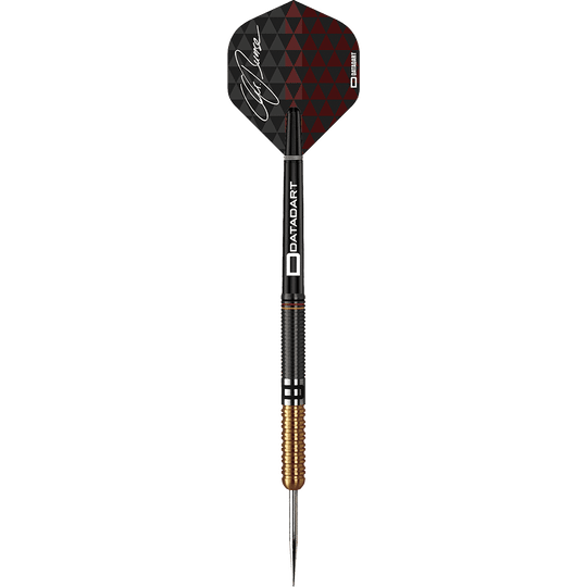 Datadart Christian Bunse Gold Black steel darts