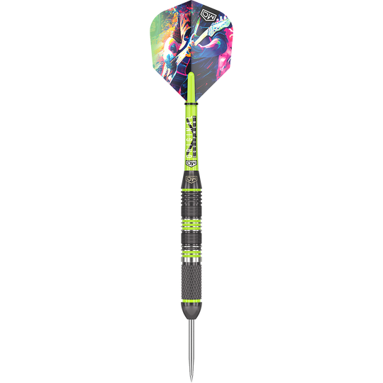 DW Anthem steel darts