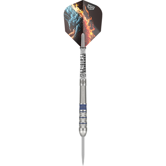 DW Phoenix steel darts