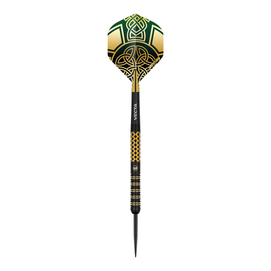 Die abgebildeten Darts sind Winmau Brendan Dolan Signature Series Steeldarts. Sie zeichnen sich durch ihre spezielle Form und Verarbeitung aus.