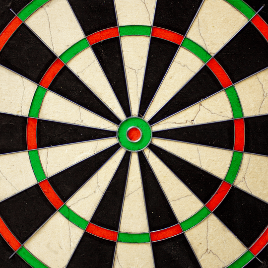 NPQ Steeldartboard NPQ Steeldartboard wird frontal gezeigt. Die Segmentierung ist scharf abgebildet.