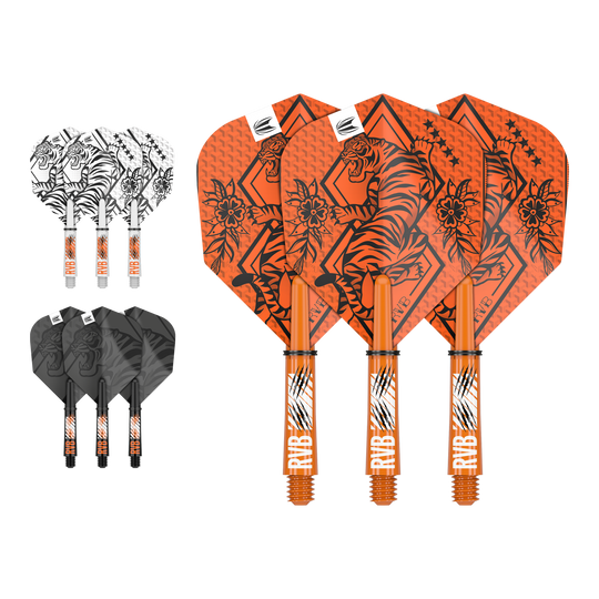 Target Ink Flight Shaft Kit Raymond Van Barneveld