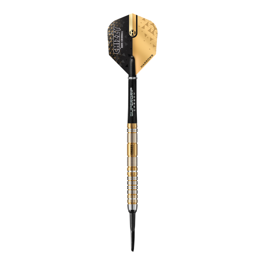 Harrow&#39;s Dave Chisnall Chizzy 2024 Series 2 soft darts