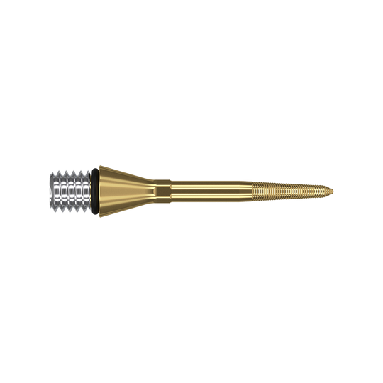 Das Bild zeigt eine goldfarbene Dartspitze mit einem silbernen Gewinde am linken Ende. Die Spitze ist schmal und hat feine Rillen am rechten Ende.