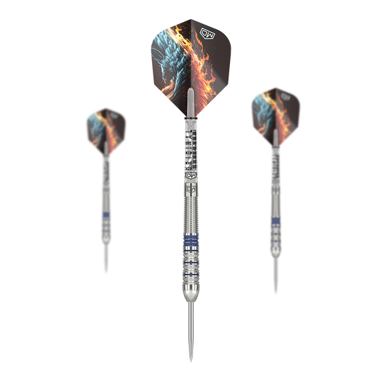 DW Phoenix steel darts