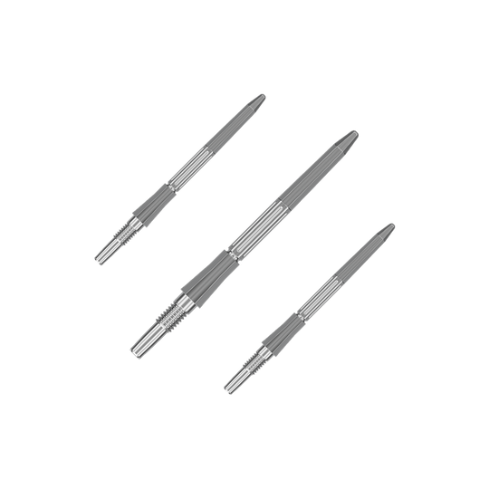 Abgebildet ist ein Set silberner Dartspitzen mit einer Länge von 30mm. Die Dartspitzen sind für das Swiss Point System geeignet.