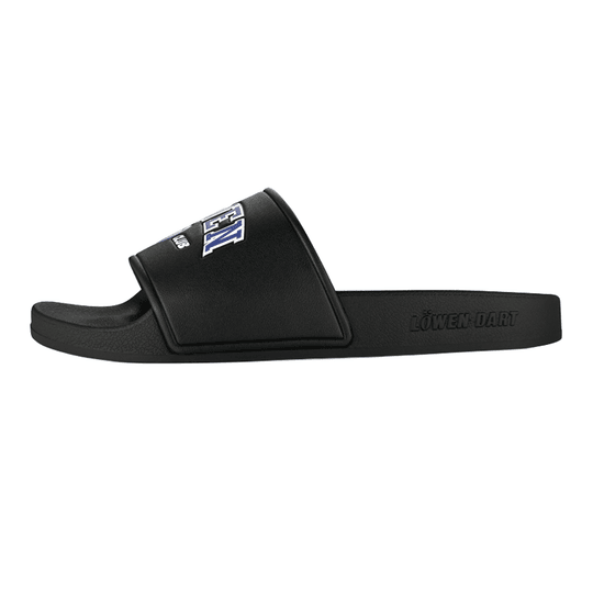 Löwen Collection DARTIletten Dieses Foto stellt die Löwen Kollektion DARTIletten Schuhe dar. Ideal geeignet für Liebhaber des Dartsports.