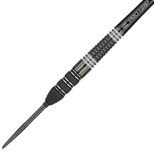 Target Raymond Van Barneveld RvB95 X Echo Swiss Point Steeldarts