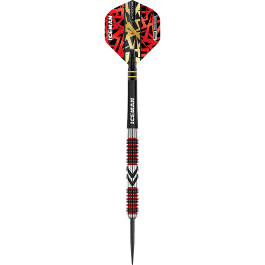 Red Dragon Gerwyn Price Firebird steel darts