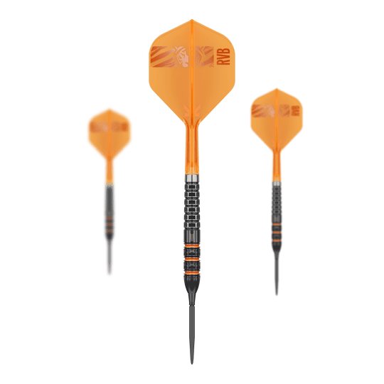 Target Raymond Van Barneveld 95K Swiss Points Steel Darts