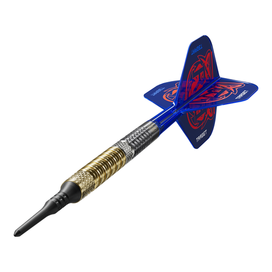 Das Bild zeigt die Target Raymond Van Barneveld GEN6 Softdarts aus einer anderen Perspektive. Die Details der Softdarts sind gut erkennbar.