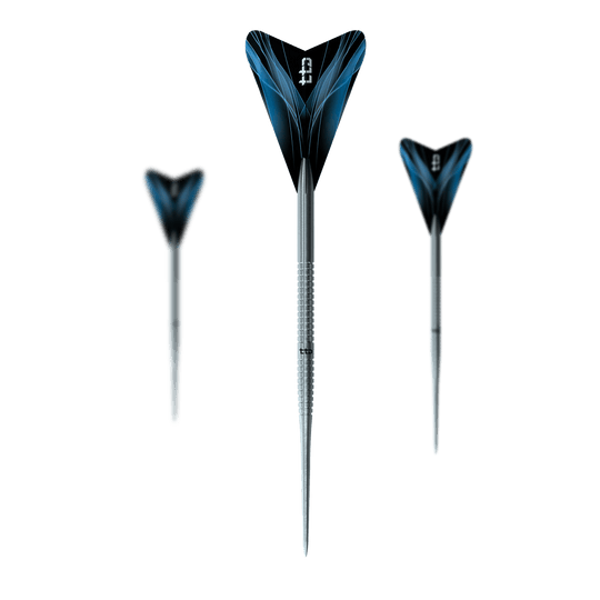 Caliburn TTD Complete Titanium T1 Silver Steeldarts - 5g Das Foto zeigt ein Set der Caliburn TTD Complete Titanium T1 Silver Steeldarts - 5g. Es sind hochwertige Steeldarts aus Titan für das Dartspiel.